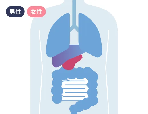 膵臓がん