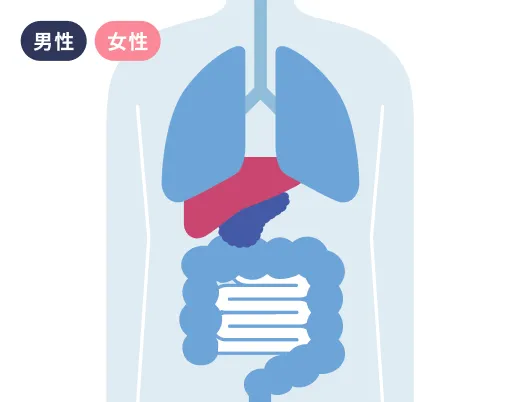 肝臓がん