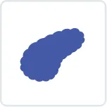 膵臓がん